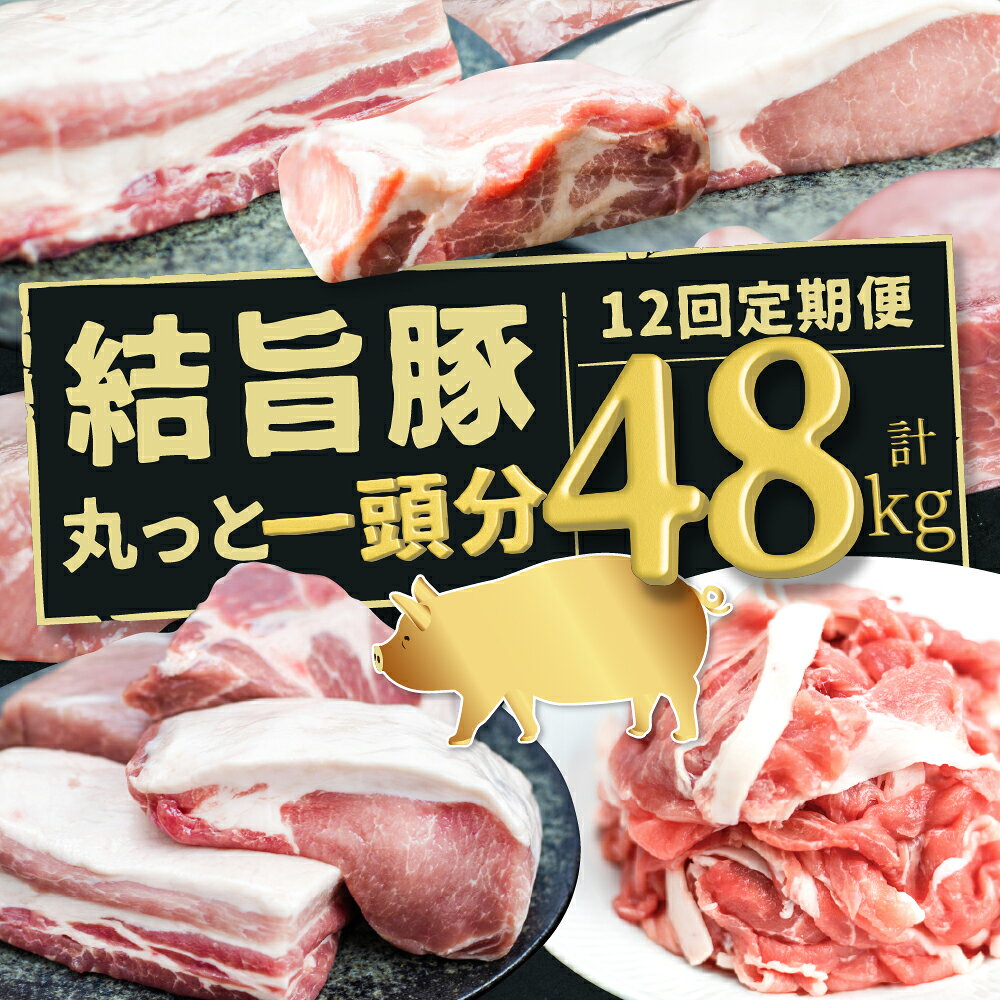 [定期便]結旨豚 丸っと一頭分 12回 定期便 約1頭分のお肉 豚肉 食べ比べ 48kg 毎月 4kg [S946]