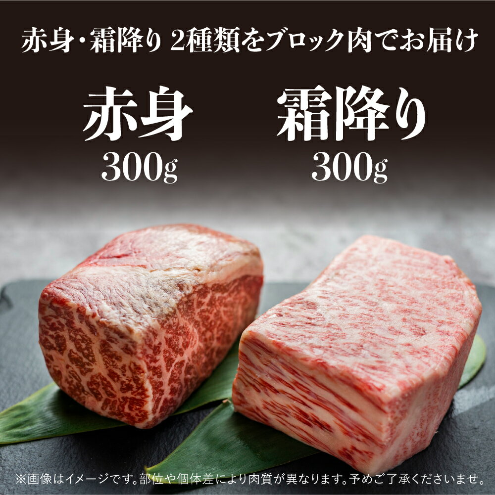 【ふるさと納税】飛騨牛 ブロック肉 [塊] (霜降り / 赤身 2種 牛肉 計600g) 食べ比べ ステーキ ローストビーフ に最適 訳あり 部位お任せ 真空パック 肉 バーベキュー BBQ bbq 焼肉 焼き肉 キャンプ 20000円 2万円 [S046]