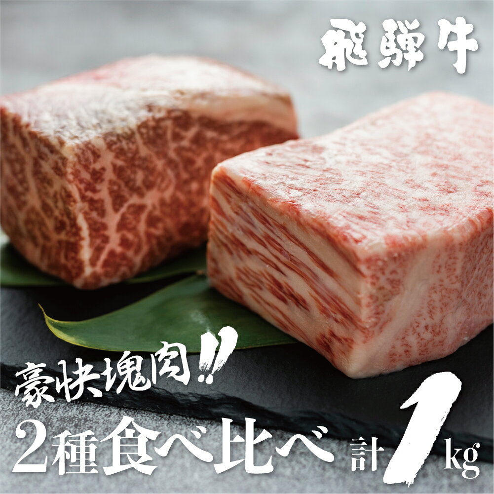 【ふるさと納税】訳あり 飛騨牛 ブロック [塊] 霜降り肉 赤身肉 500g×2 合計1kg 部位お任せ 不揃い 牛肉 和牛 ブロック肉 ステーキ ローストビーフ におすすめ真空パック かたまり肉　黒毛和牛 肉 バーベキュー BBQ bbq キャンプ 人気　霜降り 赤身 3万円 30000円 [S090]