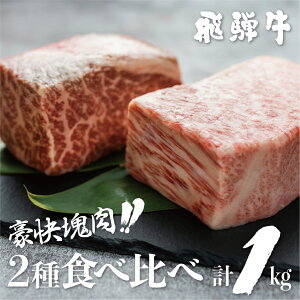 【ふるさと納税】飛騨牛 ブロック肉 1kg 牛肉 ローストビーフ ステーキ (霜降り 500g / 赤身 500g ) 肉 訳あり 部位お任せ 不揃い 真空パック 黒毛和牛 バーベキュー BBQ bbq キャンプ 人気 ランキング 白川村 岐阜県 3万円 30000円 [S090]