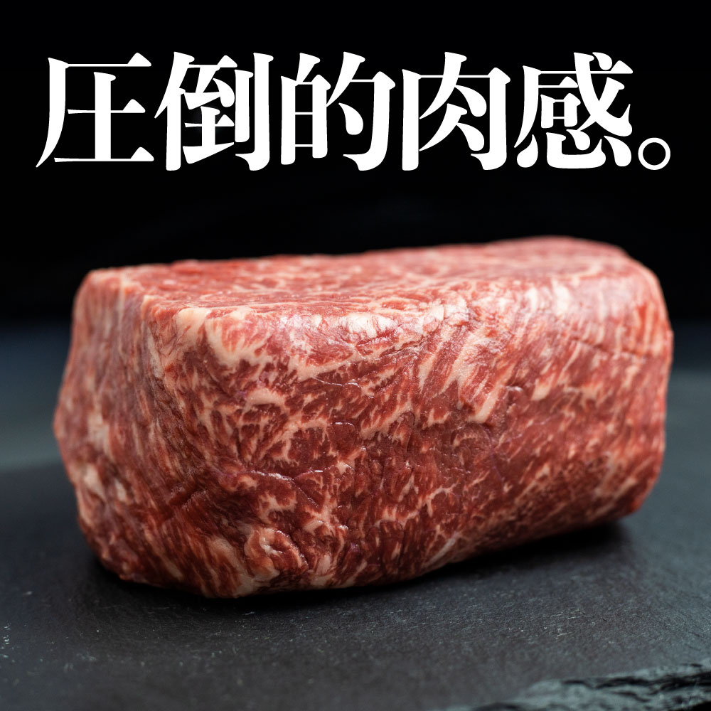 【ふるさと納税】飛騨牛 ブロック肉 1kg 牛肉 ローストビーフ ステーキ 霜降り 500g 赤身 500g 肉 食べ比べ 訳あり 訳アリ 先行予約 部位お任せ 不揃い 真空パック 黒毛和牛 BBQ 焼肉 キャンプ 人気 ランキング 白川村 岐阜県 3万円 30000円 [S090] 2