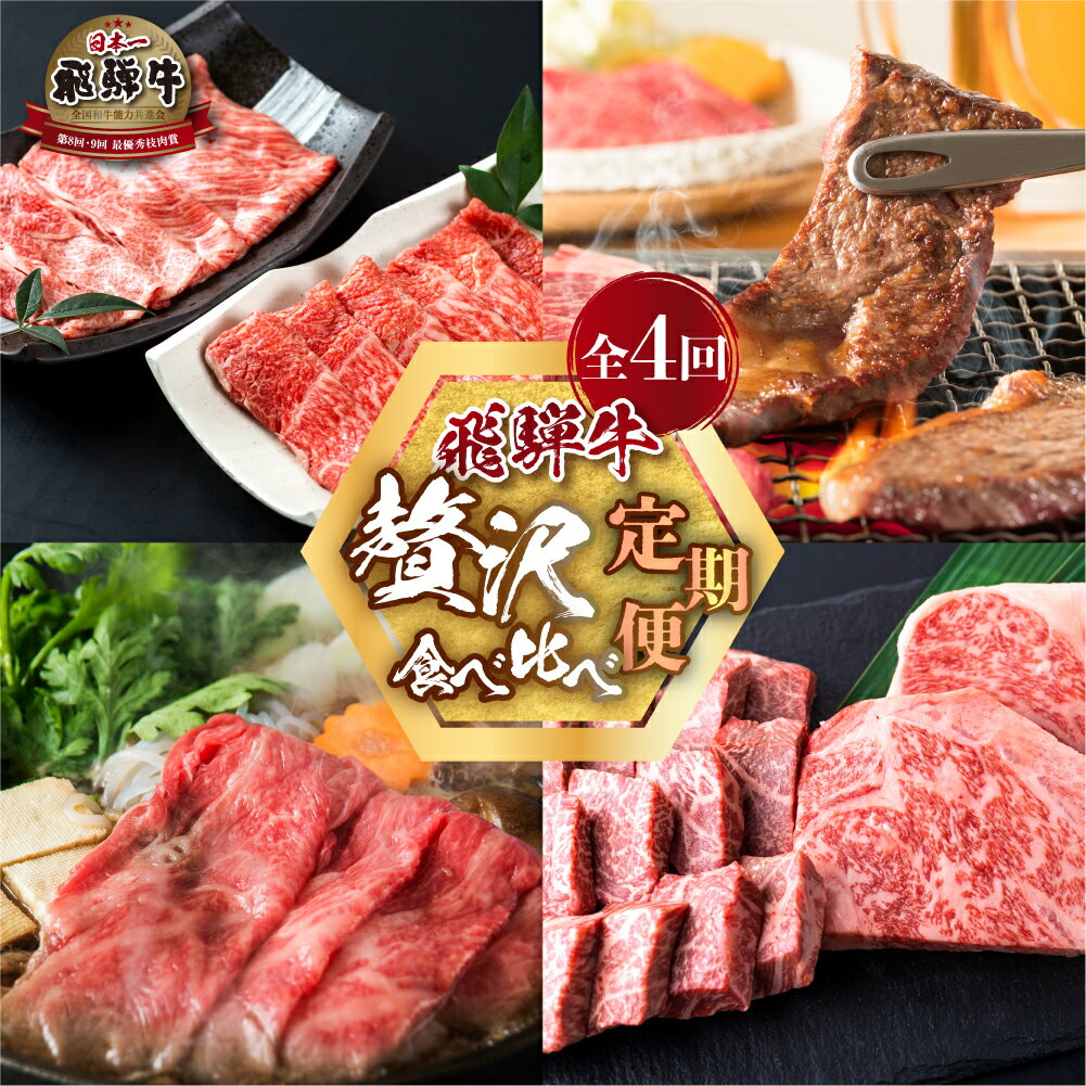 【ふるさと納税】 飛騨牛 定期便 4回 赤身 / 霜降り 食