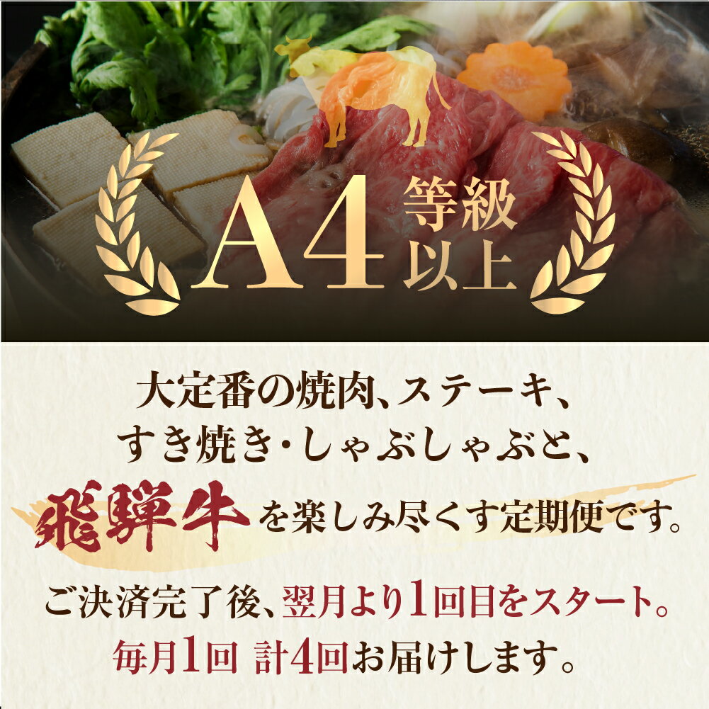 【ふるさと納税】 飛騨牛 定期便 4回 赤身 / 霜降り 食べ比べ 牛肉 ( 焼肉 / すき焼き / ステーキ / しゃぶしゃぶ ) 肉 霜降り肉 赤身肉 セット 食べ比べ 和牛 人気 贅沢 おすすめ 4か月 もも 肩 ロース 肉 牛肉 定期 100000円 10万円 白川村 JAひだ [S091_re]