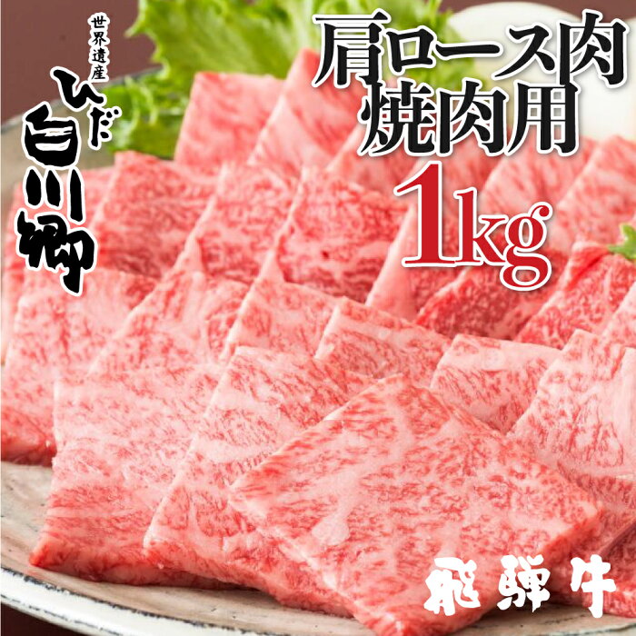 【ふるさと納税】飛騨牛 焼肉用 肩ロース肉 1kg JAひだ BBQ 牛肉 黒毛和牛 お歳暮 敬老の日 ギフト 68000円 [S112]