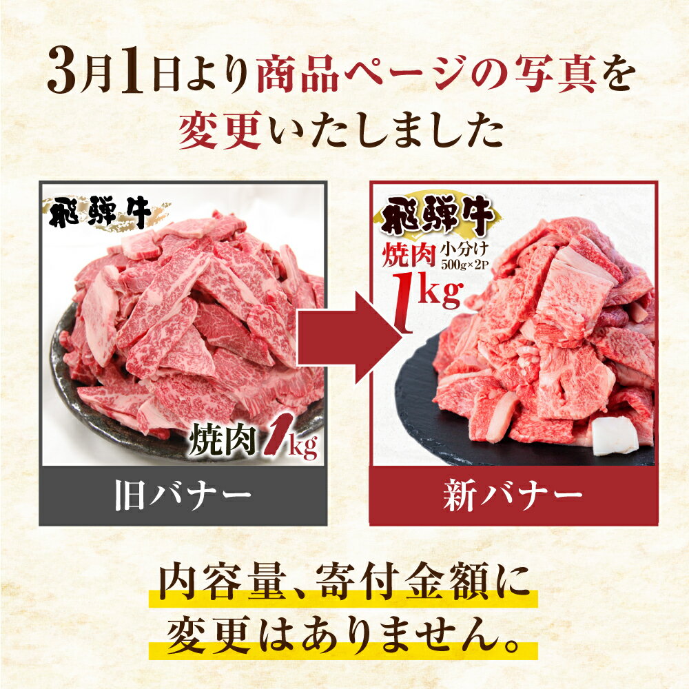 【ふるさと納税】飛騨牛 焼肉 500g×2P 計1kg 小分け 訳あり 訳アリ 不揃い カルビ 牛肉 肉 バーベキュー BBQ 和牛　 贈答 ギフト 焼き肉 切り落とし わけあり ふぞろい ワケアリ 25000円 おすすめ 人気 ランキング 岐阜県 白川村 [S201]