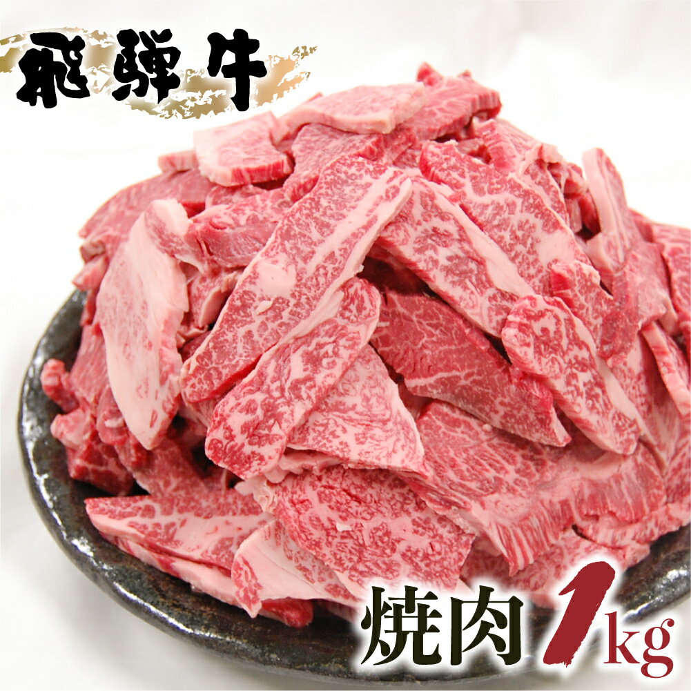 【ふるさと納税】発送時期が選べる 飛騨牛 焼肉 1kg 訳あり 訳アリ 不揃い カルビ 牛肉 肉 バーベキュー BBQ 和牛　 贈答 ギフト 焼き肉 切り落とし わけあり ふぞろい ワケアリ 25000円 おすすめ 人気 ランキング 岐阜県 白川村 [S201]