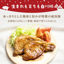 【ふるさと納税】白川郷 結旨豚 岐阜県産 ブロック肉 4種セット 計2kg 豚肉 ぶた肉 ブロック肉 国産肉 真空パック かたまり肉 肉 バーベキュー BBQ キャンプ ステーキ ロース 肩ロース バラ肉 もも肉 食べ比べ 抗生物質 合成抗菌剤不使用 14,000円 [S225]･･･ 画像2