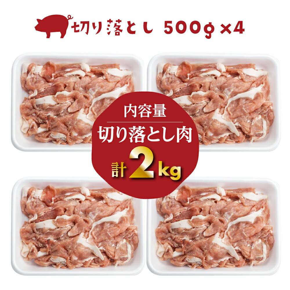 【ふるさと納税】白川郷 結旨豚 切り落とし 500g×4パック 計2kg 岐阜県産　訳あり　部位不揃い 豚肉 　ぶた肉 国産肉 小分け 国産豚 10,000円 1万円 抗生物質 合成抗菌剤不使用 [S226]