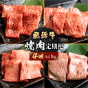 飛騨牛 【ふるさと納税】飛騨牛 定期便 4回 焼肉 食べ比べ 250g×4回 焼き肉 牛肉 もも ロース バラ 肩ロース 毎月お届け バーベキュー BBQ JAひだ 40000円 [S401]