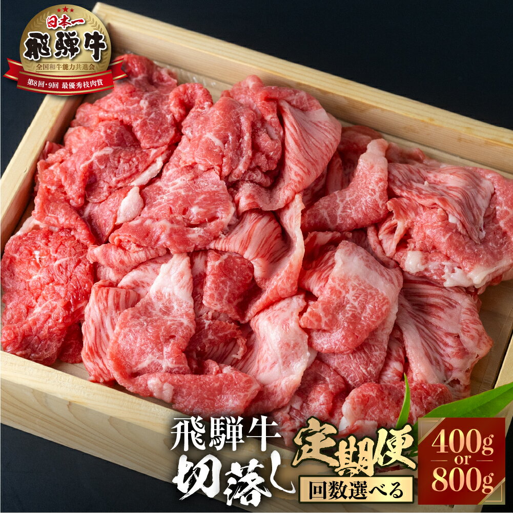 飛騨牛 【ふるさと納税】《定期便》飛騨牛 切り落とし肉 400g or 800g 選べる 3回 or 6回 計1.2kg ~ 4.8kg 選べる 定期便 お届け 肉づくし 白川郷 しゃぶしゃぶ すき焼き 肉じゃが 国産 牛 A4 赤身 霜降りおまかせ 部位バラバラ 不揃い 訳あり 訳アリ 岐阜県 白川村 JAひだ [S483]