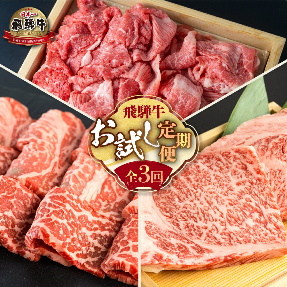 [定期便]飛騨牛 お試し 全3回 お届け 定期便 肉づくし 白川郷 焼肉用 もも肉 切り落とし サーロイン ステーキ しゃぶしゃぶ すき焼き 食べ比べ 40000円 4万円 国産 黒毛和牛 牛 牛肉 焼肉 A4 赤身 霜降り 岐阜県 白川村 JAひだ [S484]