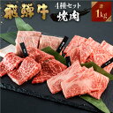 飛騨牛 【ふるさと納税】飛騨牛 焼肉 250g×4種 食べ比べ セット 1kg 6～7人前 焼き肉 牛肉 もも ロース バラ 肩ロース バーベキュー BBQ JAひだ 40000円 [S202]