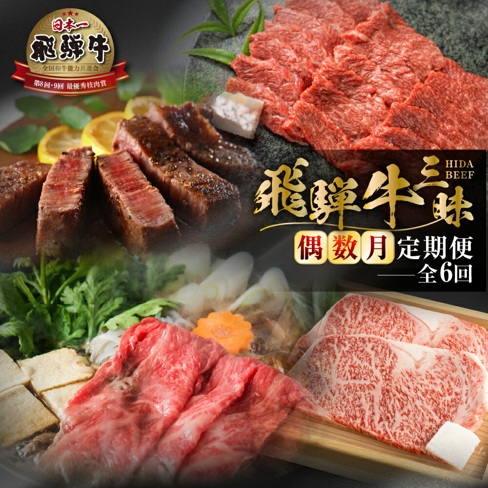 【ふるさと納税】《まるごと定期便》6回 偶数月 厳選 お届け 飛騨牛 三昧 肉 肉づくし 白川郷 もも肉 切り落とし サーロイン ステーキ しゃぶしゃぶ すき焼き120000円 12万円 国産 焼肉 カルビ 牛肉 A4 A5 ロース 焼肉 赤身 霜降り 食べ比べ 岐阜県 白川村 お楽しみ [S632]のサムネイル