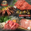 【ふるさと納税】《まるごと定期便》12回 固定月 厳選 お届け 飛騨牛 三昧 肉 肉づくし 白川郷 もも肉 切り落とし サーロイン ステーキ しゃぶしゃぶ すき...