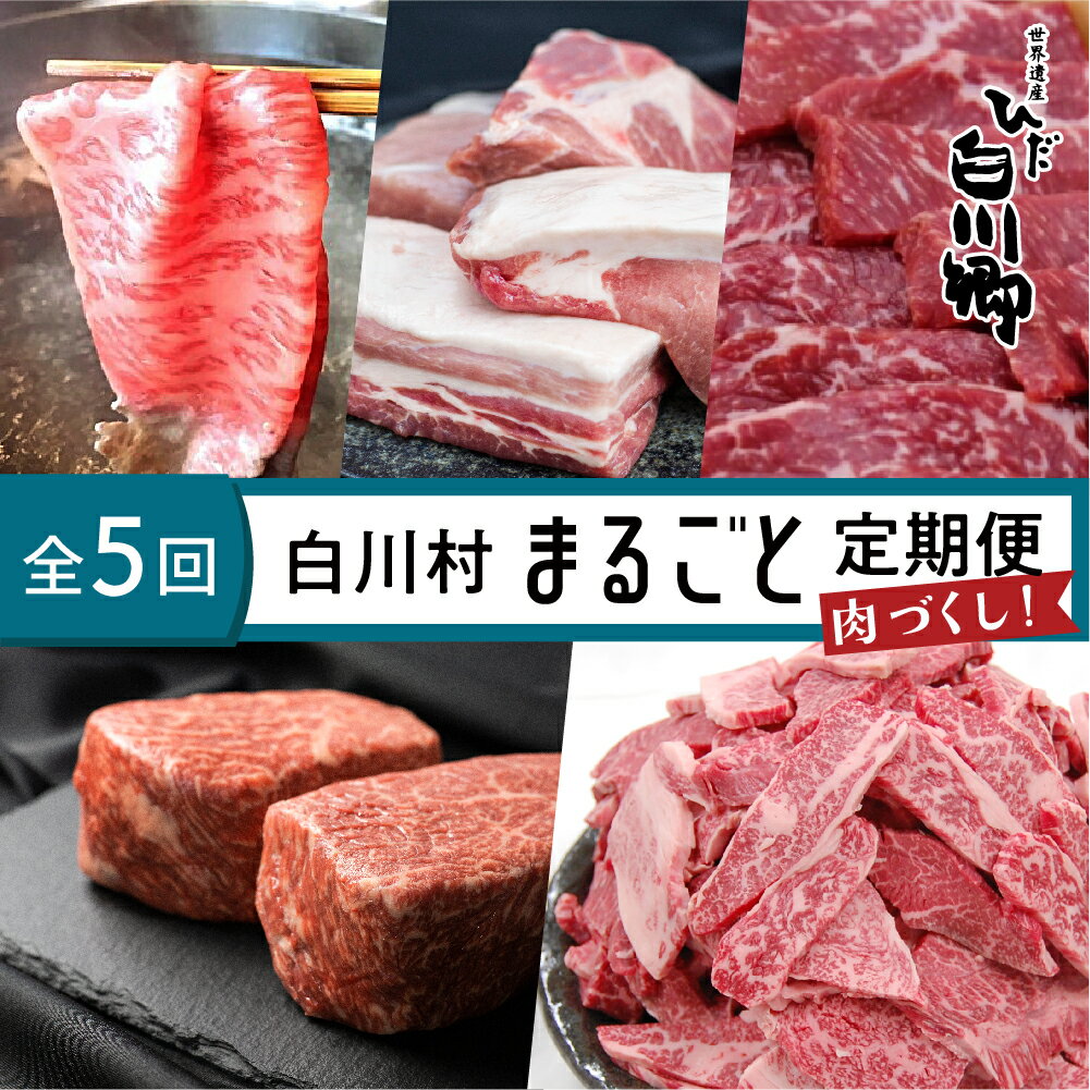 白川郷 まるごと定期便 全5回 お届け 肉づくし ローススライス 結旨豚 ブロック肉 飛騨牛ブロック肉 焼肉用 もも肉 切り落とし 5種類 100000円 10万円 定期便 飛騨牛 豚肉 国産 牛 豚 焼肉 しゃぶしゃぶ [S249]