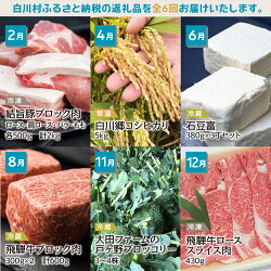 【ふるさと納税】白川郷 まるごと定期便 全6回 お届け 結旨豚ブロック肉 こしひかり 石豆富 飛騨牛ブロック肉 ブロッコリー 飛騨牛ローススライス 6種類 74000円 [S250]･･･ 画像1