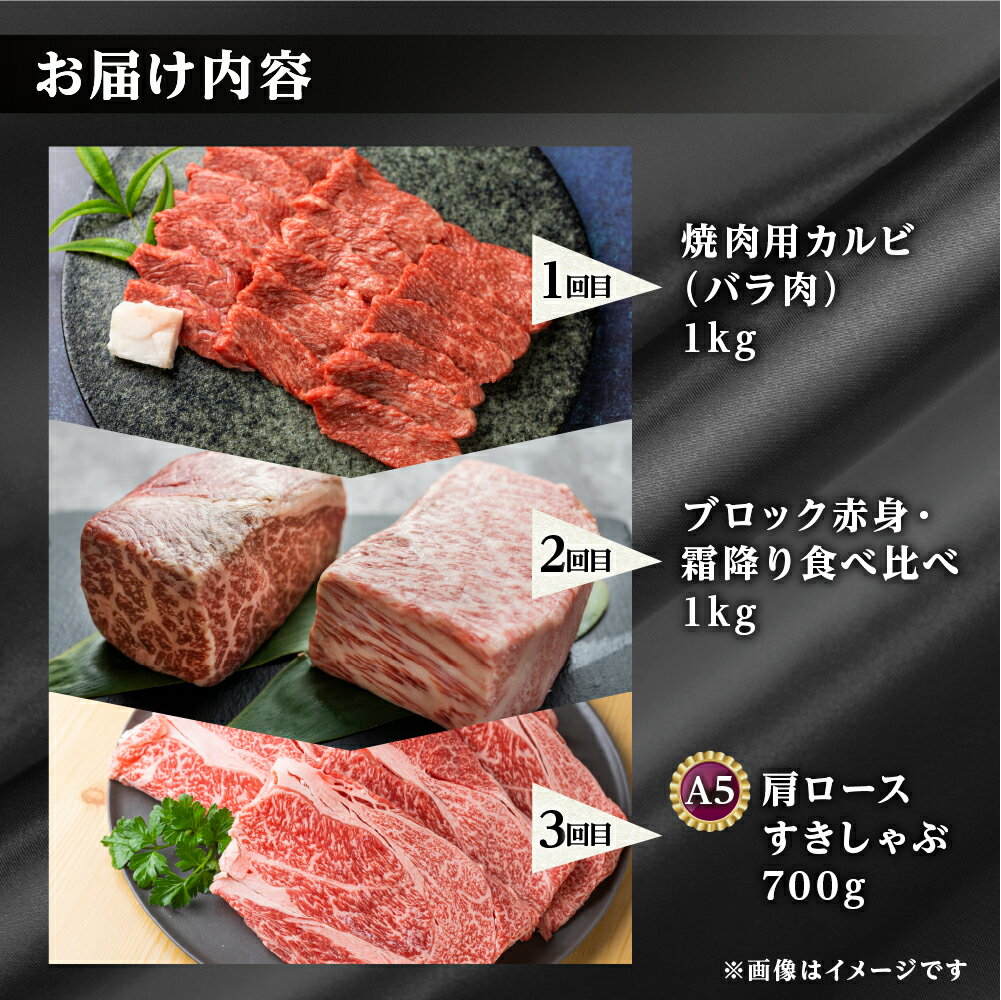 【ふるさと納税】《まるごと定期便》3回 総量2.7kg お届け 飛騨牛三昧 肉 700g 以上 肉づくし 白川郷 もも肉 ブロック肉 しゃぶしゃぶ すき焼き 85000円 国産 黒毛和牛 牛肉 焼肉 カルビ バラ A4 A5 肩 ロース 焼肉 赤身 霜降り 食べ比べ 岐阜県 白川村 お楽しみ [S525]