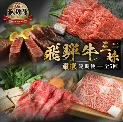 《まるごと定期便》5回 厳選 お届け 飛騨牛 三昧 肉 肉づくし 白川郷 もも肉 切り落とし サーロイン ステーキ しゃぶしゃぶ すき焼き100000円 10万円 国産 焼肉 カルビ バラ 牛肉 A4 A5 肩 ロース 焼肉 赤身 霜降り 食べ比べ 岐阜県 白川村 お楽しみ [S526]