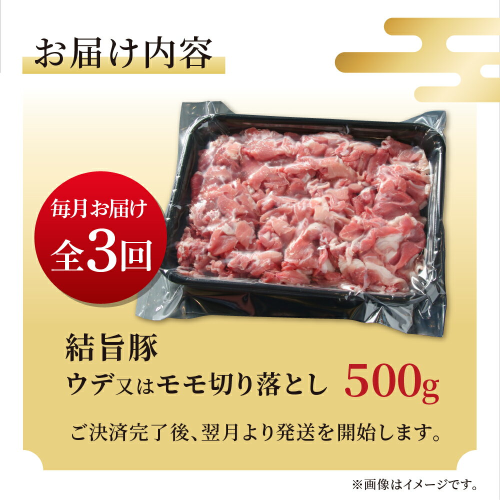 【ふるさと納税】《定期便》選べる お届け回数 全3回 全6回 結旨豚 ウデ又はモモ 切り落とし 500g 冷凍真空パック | 肉 お肉 豚肉 国産 食べ比べ セット 白川郷 岐阜県 白川村 ブランド豚 人気 おすすめ ギフト 飛騨高山ミート 18000円 36000円