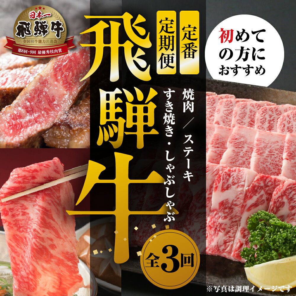 [定期便]全3回 飛騨牛 定番(ステーキ /焼肉 / すき焼き)[飛騨高山ミート] | 冷凍真空パック 肉 お肉 すきやき 黒毛和牛 和牛 人気 おすすめ 牛肉 [MZ102]