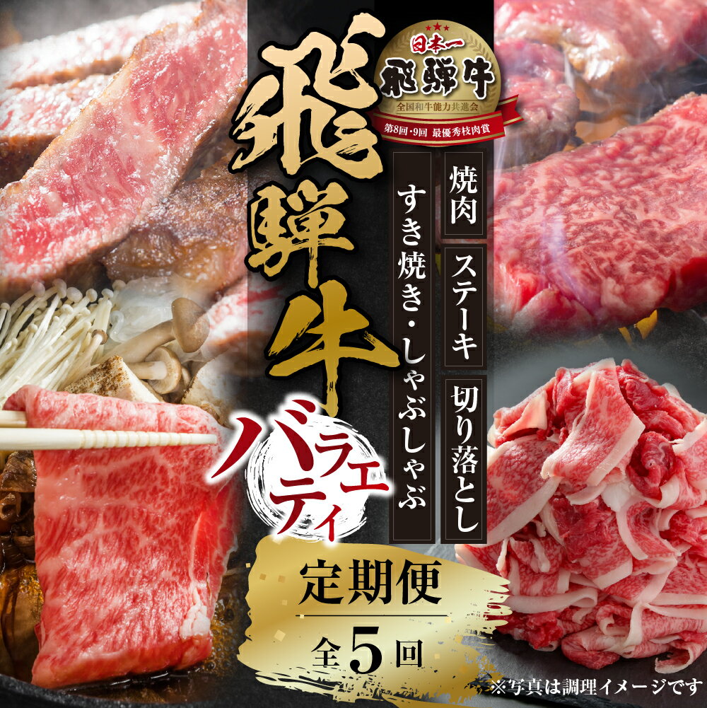 [定期便]全5回 飛騨牛 バラエティ(ステーキ /焼肉 / すき焼き/切り落とし)[飛騨高山ミート] [MZ104]