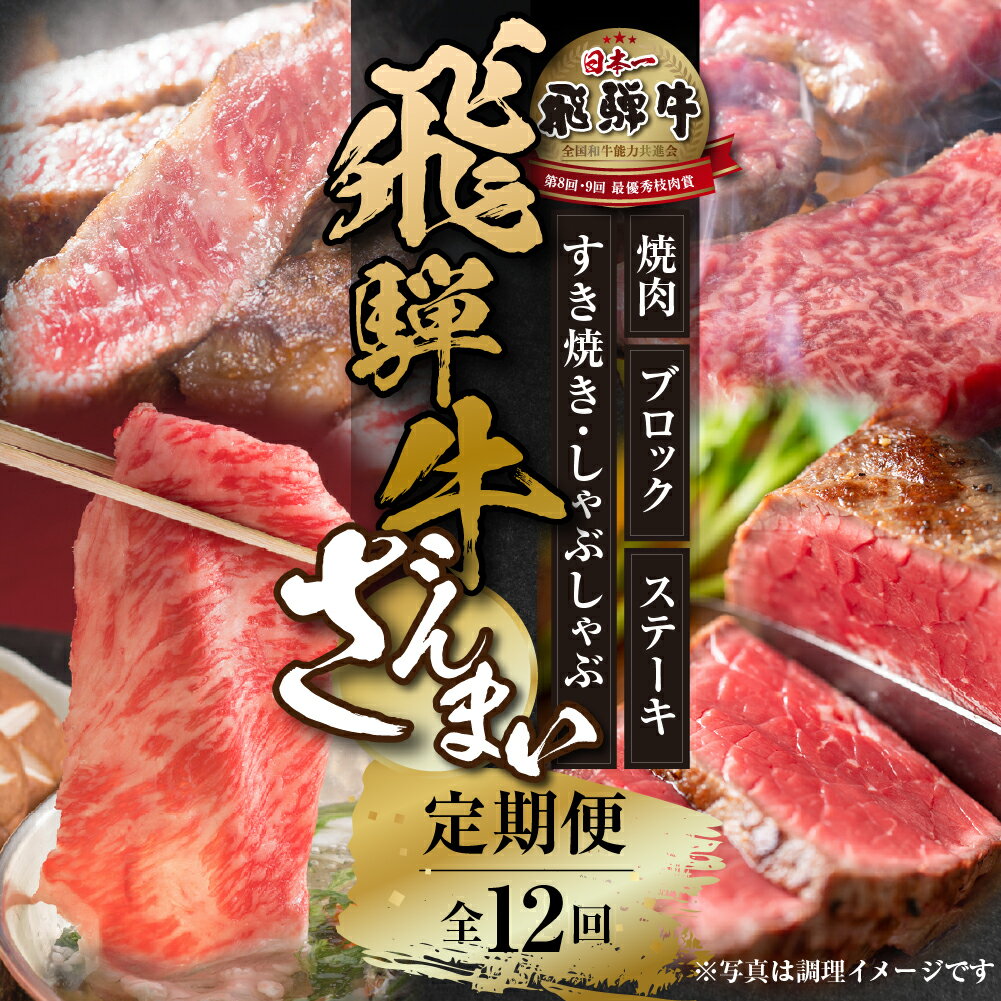[定期便]全12回 飛騨牛 ざんまい(ステーキ /焼肉 / すき焼き/切り落とし/ブロック)[飛騨高山ミート][MZ106]