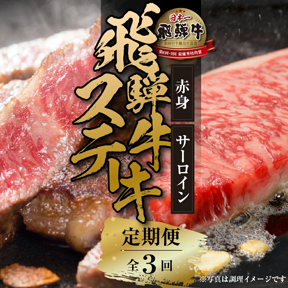 【ふるさと納税】《定期便》全3回 飛騨牛 ステーキ　[飛騨高山ミート] [MZ107]