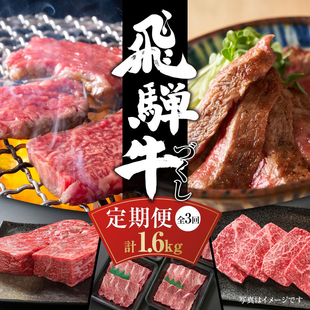 [定期便]飛騨牛(全3回)(ステーキ /焼肉 / ブロック[塊] ) 計1.6kg 全3回 | 焼肉 ステーキ カルビ 牛 飛騨高山ミート 58000円 [MZ101]