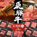 【ふるさと納税】【定期便】飛騨牛 全5回(焼肉・すき焼き・ステーキ)計3kg | 焼肉 ステーキ カルビ 食べ比べ 牛 飛騨高山ミート 113000円 [MZ1...