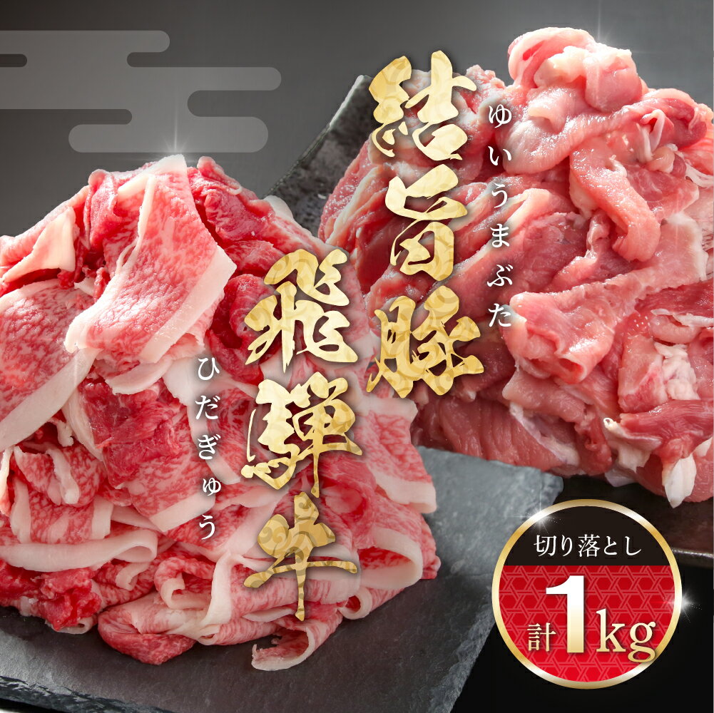 【ふるさと納税】訳あり 飛騨牛 切落とし 500g 結旨豚 切落し 500g 冷凍真空パック | 肉 お肉 切り落とし すき焼き すきやき 黒毛和牛 和牛 人気 おすすめ 牛肉 豚肉 食べ比べ セット ギフト お取り寄せ【MS022】