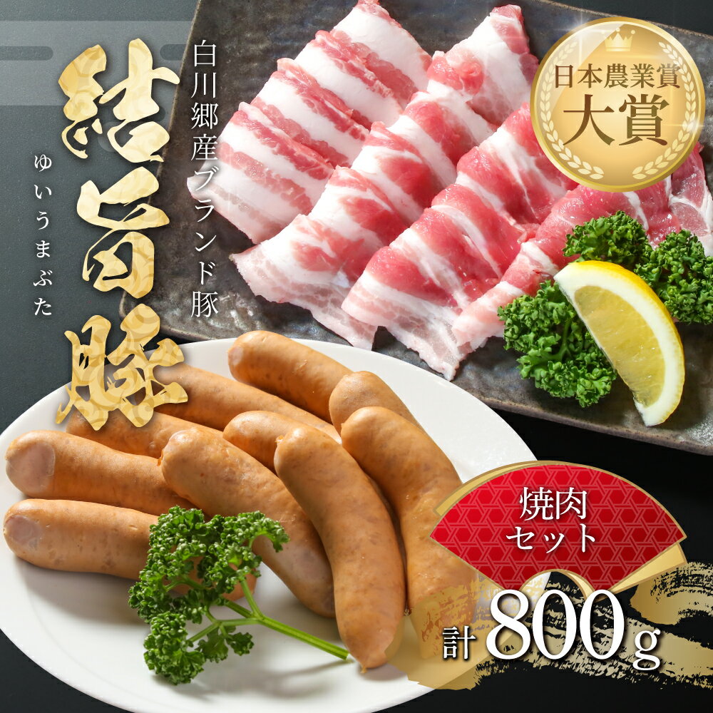 結旨豚 焼肉 セット バラ焼肉 500g ソーセージ 300g 計800g 冷凍真空パック | 肉 お肉 豚肉 国産 食べ比べ 白川郷 岐阜県 白川村 ブランド豚 人気 おすすめ ギフト 飛騨高山ミート 11000円 [MS023]