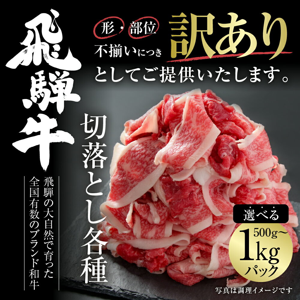 訳あり 飛騨牛 切落し 選べる 500g or 1kg 冷凍真空パック | 肉 お肉 切り落とし 薄切り すき焼き すきやき 黒毛和牛 和牛 人気 おすすめ 牛肉 ギフト [MZ011]