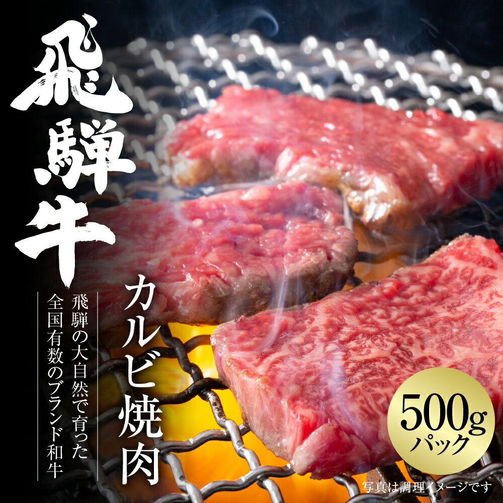 飛騨牛 カルビ焼肉 500g 冷凍真空パック | 肉 お肉 焼肉 焼き肉 やきにく 黒毛和牛 和牛 人気 おすすめ 牛肉 ギフト お取り寄せ [MZ037]