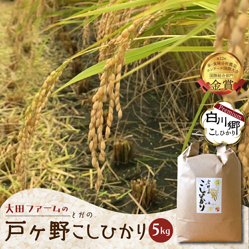 9位! 口コミ数「0件」評価「0」先行予約 令和6年産 コシヒカリ 5kg 白川郷 戸ヶ野のこしひかりプレミアム 予約 こだわりのお米 精米 コシヒカリ 岐阜県 飛騨 世界最･･･ 