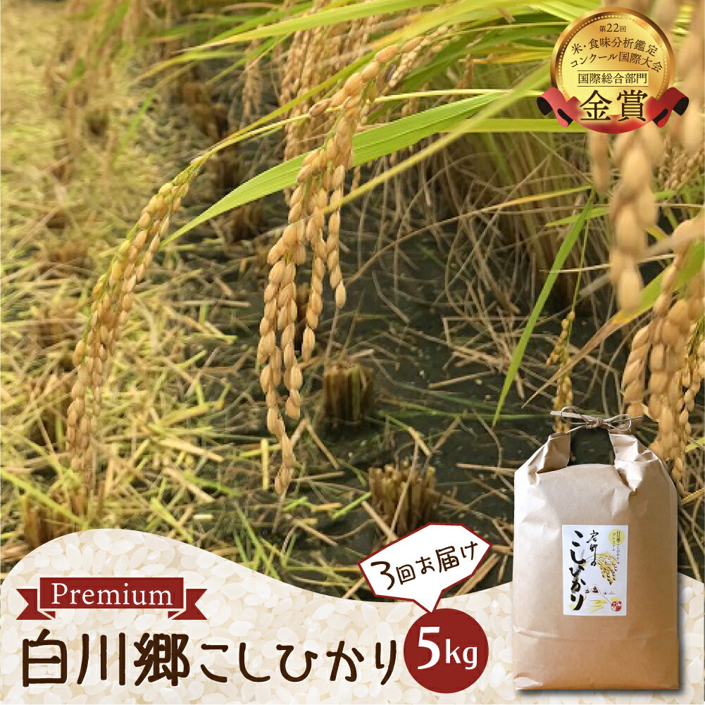 【ふるさと納税】先行予約 定期便 3回 令和5年産 白川郷 戸ヶ野のこしひかりプレミアム 5kg 事前予約 こだわりのお米 精米 コシヒカリ 岐阜県 飛騨 世界最高米認定農家 大田ファーム 35000円 [S282]･･･