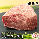 【ふるさと納税】飛騨牛 もも ブロック肉 300g 部位お任