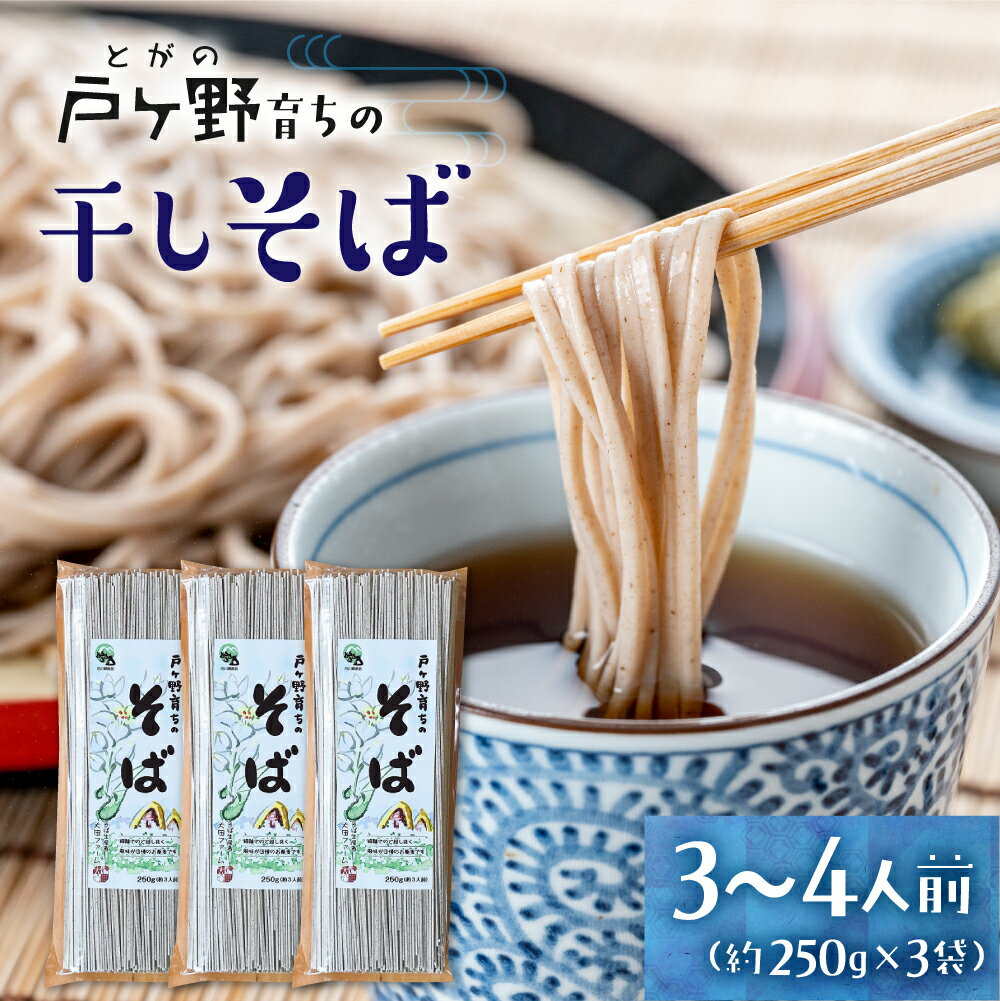 【ふるさと納税】風味豊かな大田さん家のそば（250g×3袋）蕎麦 白川郷産 細麺 干しそば 岐阜県産 ざるそば そば 乾麺 干しそば 飛騨 大田ファーム 8000円 [S014]