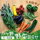 商品説明名称【先行予約】戸ヶ野の野菜セット 商品説明 白川村では昼夜の寒暖差が激しいため、日中、作り出された栄養素・糖分が逃げることなくギュッと溜め込まれ、甘みの強い野菜が育ちます。 極力農薬に頼らず、シンプルに野菜の味を楽しめる品種を栽培しています。 こだわりは漢方肥料を使った土づくり。 小さな小さな畑より、旬の野菜をお届けします。 ■大田ファームは少量多品目栽培をしている夫婦だけの小さな農家です。 畑を始めて品種によって個性や特徴 白川村の土地や気候に合った美味しい野菜がある事を知りました。 食べてみたい！色々な野菜を作り気づけば多品目栽培に。 土づくり・肥料にこだわり、より野菜の味を引き出せる栽培を目指しています。 小さな農家だからできるこまめな管理で極力農薬に頼らない栽培にも心がけています。 内容量戸ヶ野野菜詰め合わせ　5〜8種セット トマト・なす・ピーマン・モロヘイヤ・ズッキーニ・じゃがいも・ごぼう・人参・ささげ などから、旬の野菜を詰め合わせてお届けします。 ※内容はお任せとなります 賞味期限 生鮮品ですのでお早目にお召し上がりください。発送方法 冷蔵 発送について 8月1日〜収穫次第、順次発送いたします。 ※長期不在などでお受け取りいただけない日がある場合は備考欄にご記入ください。 製造者大田ファーム岐阜県大野郡白川村 ------------------------------------------------- ・ふるさと納税よくある質問はこちら ・寄付申込みのキャンセル、返礼品の変更・返品はできません。あらかじめご了承ください。「ふるさと納税」寄付金は、下記の事業を推進する資金として活用してまいります。 寄付を希望される皆さまの想いでお選びください。 ※お選びいただいた事業費に対し、仮に充当すべき寄附金額が上回った場合は、別の事業にて活用してまいります。 入金確認後、注文内容確認画面の【注文者情報】に記載の住所にお送りいたします。 ワンストップ特例申請書は、入金確認後（寄附証明書と同封）年末年始を除く30日以内に住民票住所へお送りいたします。 ご記入後下記宛先へ返送ください。