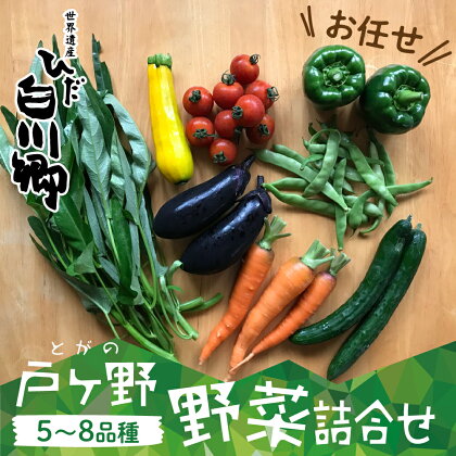 【数量限定】先行予約 戸ヶ野の野菜セット 5～8種 白川村 白川郷 野菜 品種 お任せ 詰め合わせ 夏野菜 旬 戸ヶ野野菜詰め合わせ　5～8種セット トマト なす ピーマン ズッキーニ じゃがいも ごぼう 人参 など 大田ファーム 2024年8月～順次発送 [S695]