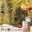 【ふるさと納税】《新米予約》事前予約 令和4年産 新米 白川郷 戸ヶ野のこしひかりプレミアム 5kg こだわりのお米 精米 コシヒカリ 岐阜県 飛騨 世界最高米認定農家 12000円 [S279]･･･