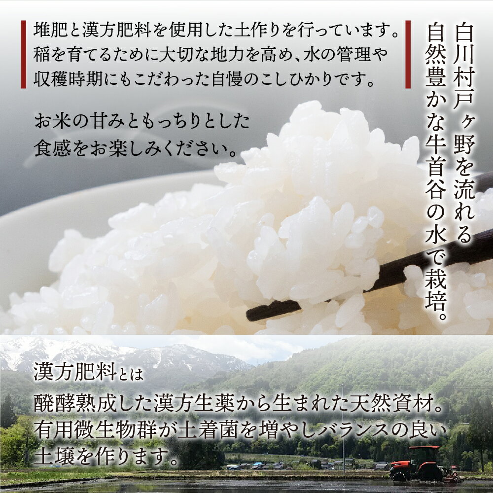 【ふるさと納税】【令和6年産 先行予約】コシヒカリ 10kg 新米 こしひかり 米 白川郷 戸ヶ野 予約 ごはん 白米 精米 もちもち 岐阜県 飛騨 世界最高米認定農家 簡易包装 のため 訳あり 大田ファーム 16000円 【2024年11月下旬～以降順次発送】 [S746]