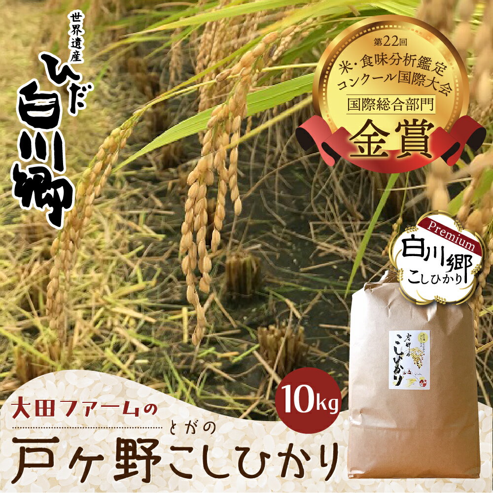 【ふるさと納税】先行予約 令和6年産 白川郷 戸ヶ野のこしひ