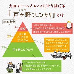 【ふるさと納税】令和5年産 こしひかり 定期便 5kg 12回 事前予約 白川郷 戸ヶ野のこしひかりプレミアム 5キロ 12か月 新米 先行予約 常温 こめ コメ 新生活 応援 こだわりの お米 精米 コシヒカリ プレミアム ごはん 岐阜県 飛騨 世界最高米認定農家 大田ファーム [S528]･･･ 画像2