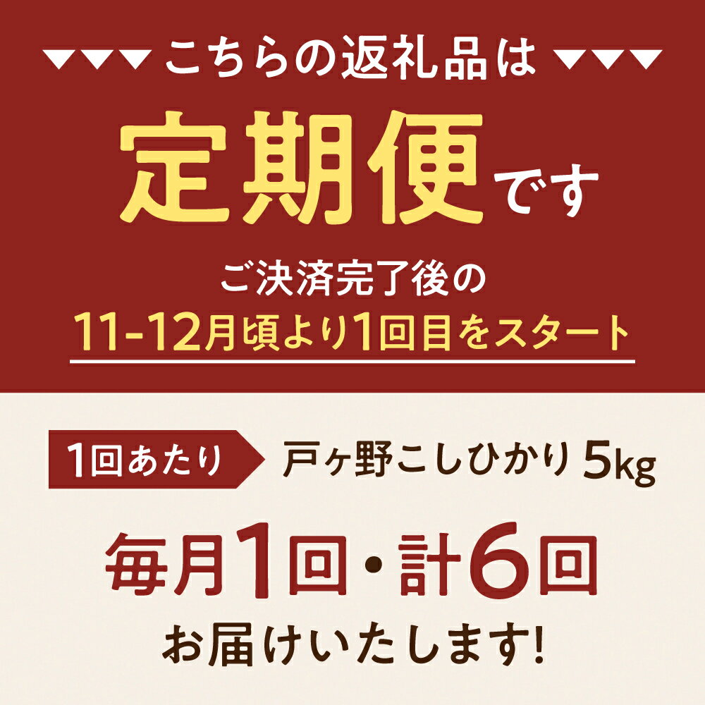 【ふるさと納税】令和6年産 先行予約 コシヒカリ 定期便 6回 5kg 計30kg こしひかり 米 白川郷 戸ヶ野 事前予約 こだわりのお米 精米 白米 コシヒカリ 岐阜県 飛騨 世界最高米認定農家 簡易包装 訳あり 大田ファーム 48000円 【2024年11月下旬より順次発送】 [S435]