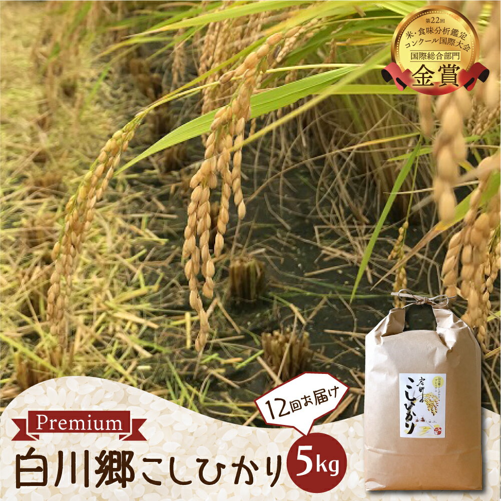 令和6年産 コシヒカリ 定期便 5kg 12回 事前予約 白川郷 戸ヶ野のこしひかりプレミアム 5キロ 12か月 先行予約 常温 こめ コメ 新生活 応援 こだわりの お米 精米 ごはん 岐阜県 飛騨 世界最高米認定農家 大田ファーム [2024年11月下旬より発送] [S528]