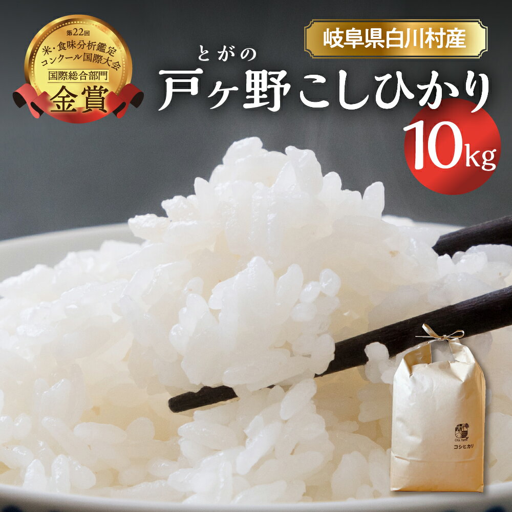 【ふるさと納税】【令和6年産 先行予約】コシヒカリ 10kg 新米 こしひかり 米 白川郷 戸ヶ野 予約 ご...