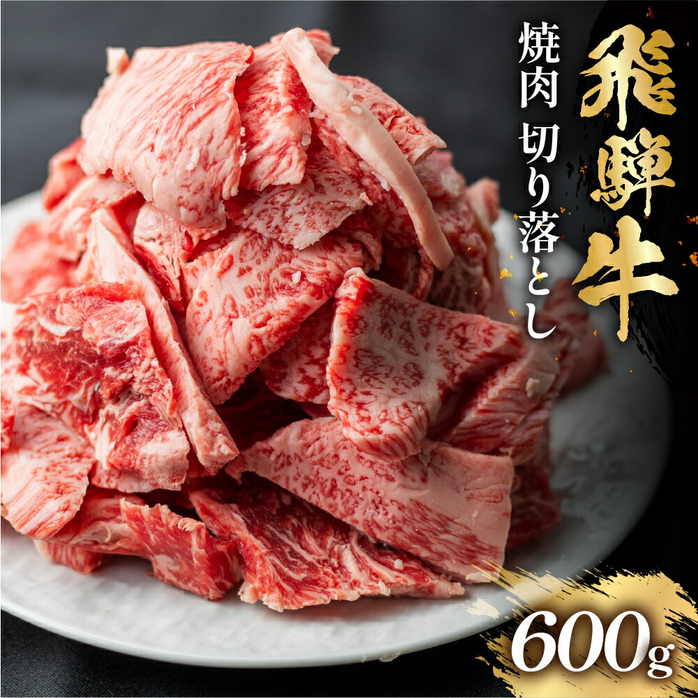 【ふるさと納税】飛騨牛 焼肉 切り落とし 600g 訳あり 訳アリ 不揃い カルビ 牛肉 肉 バーベキュー BBQ 和牛 贈答 ギフト 焼き肉 切り落とし わけあり ふぞろい ワケアリ 15000円 おすすめ 岐阜県 白川村 [S767]