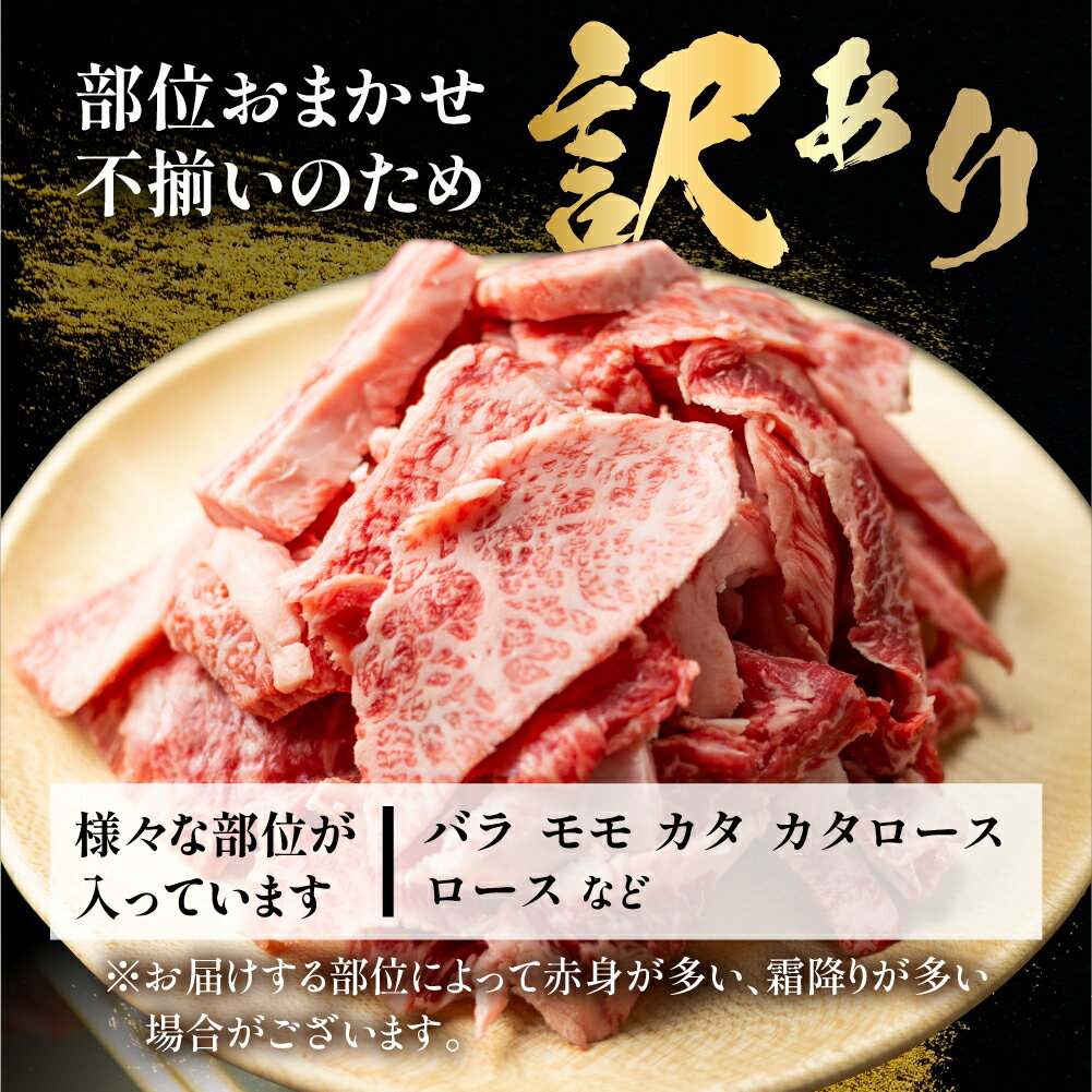 【ふるさと納税】飛騨牛 焼肉 切り落とし 600g 訳あり 訳アリ 不揃い カルビ 牛肉 肉 バーベキュー BBQ 和牛 贈答 ギフト 焼き肉 切り落とし わけあり ふぞろい ワケアリ 15000円 おすすめ 岐阜県 白川村 [S767]