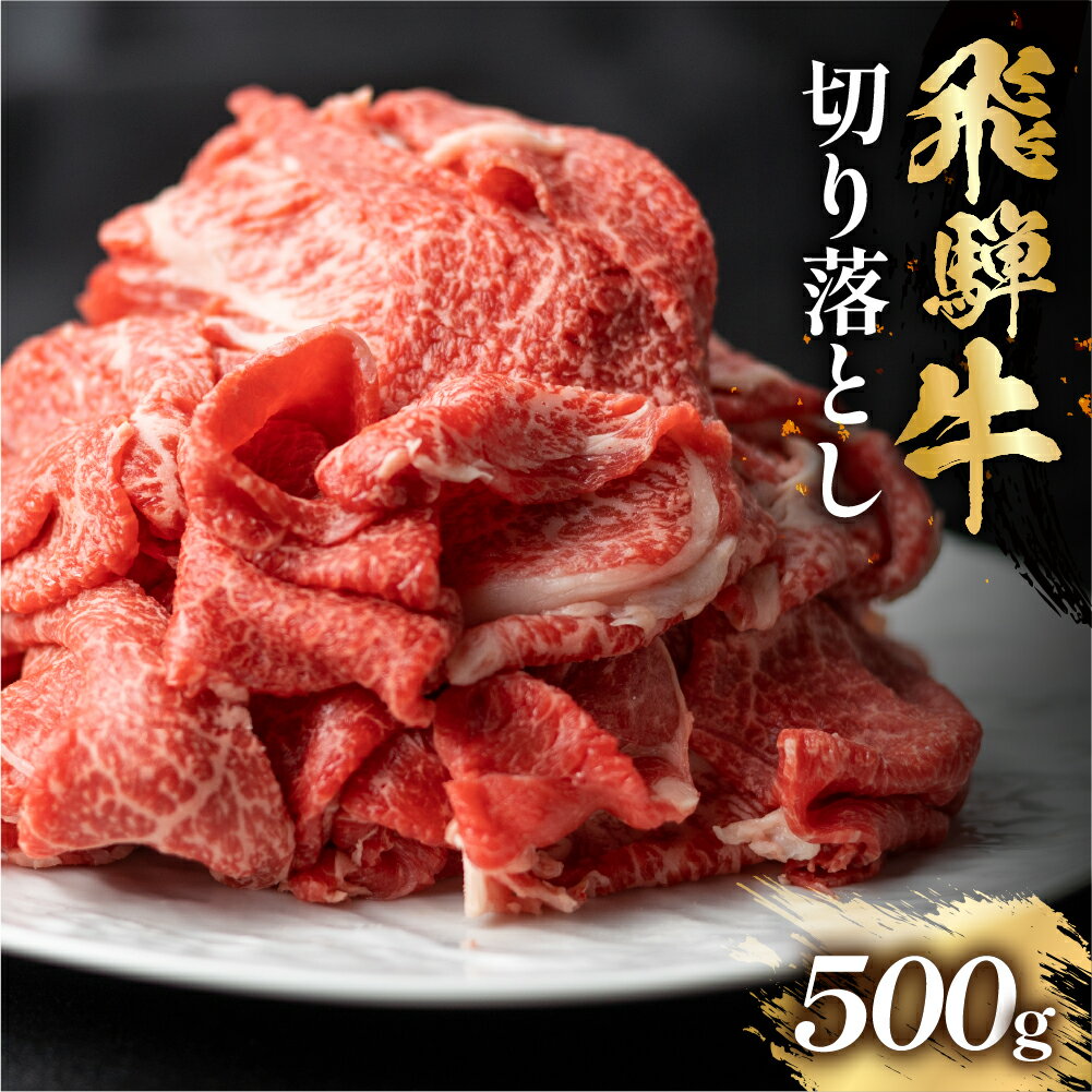 飛騨牛 切り落とし 500g 訳あり 訳アリ 不揃い スライス 切落し 和牛 すき焼き すきやき 肉 切り落とし 牛肉 おすすめ ワケアリ 駿河屋 岐阜県 白川村 10000円 [S768]