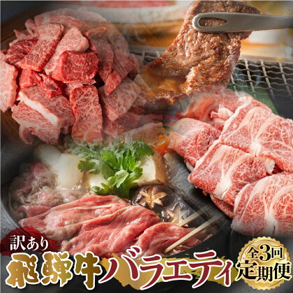 【 定期便 】 訳あり 飛騨牛 バラエティ 3回 計1.9kg すき焼き 焼肉 切り落とし 赤身 霜降り 部位おまかせ 肉 牛肉 お肉 和牛 冷凍 岐阜県 等級 お任せ 炒め物 牛丼 カレー キャンプ アウトドア 国産 不揃い ブランド牛 48000円 [S608]